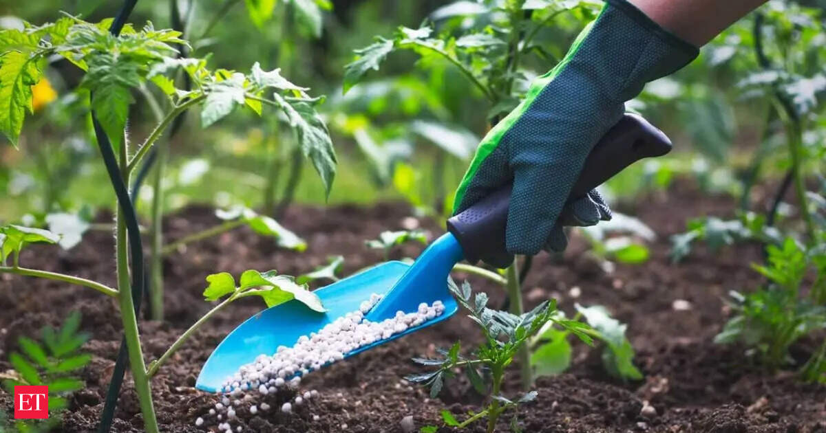 India is seeking self-reliance in fertilizers. Experts propose a multi-pronged approach using artificial intelligence and precision nutrient management. This strategy aims to reduce import dependence and optimize fertilizer use. Initiatives like the Soil Heal…