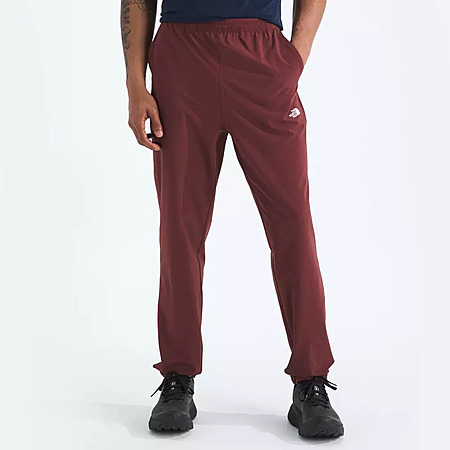 Dick's Sporting Goods [dickssportinggoods.com] has *The North Face Men's Wander 2.0 Joggers (Sumac) *on sale for *$28.02*. Shipping is free for Score Card Members on orders over $49 (free to join...