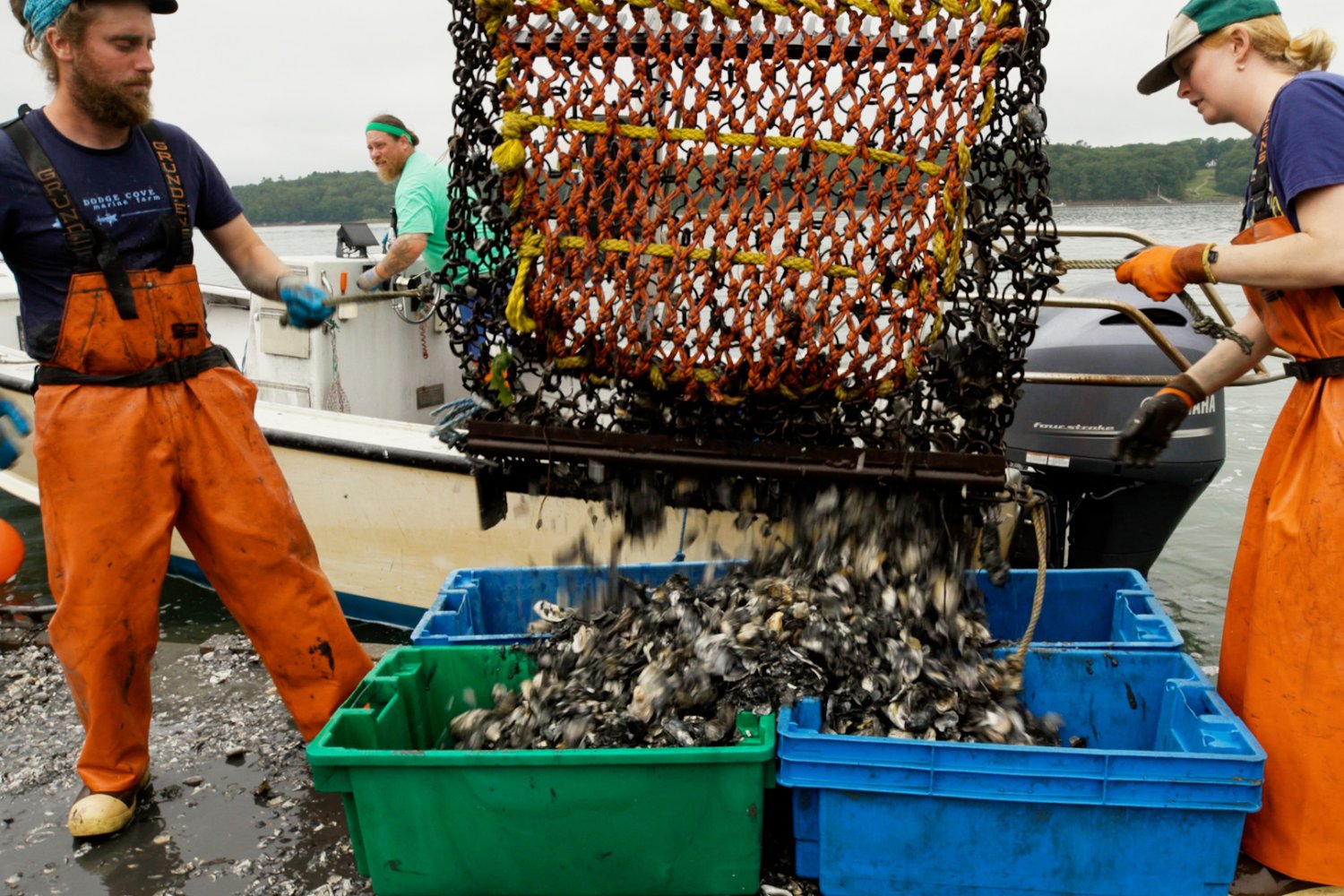 MIT researchers introduce a chemical-free approach to balancing ocean acidity that protects marine life and could have huge impact on the global aquaculture market.