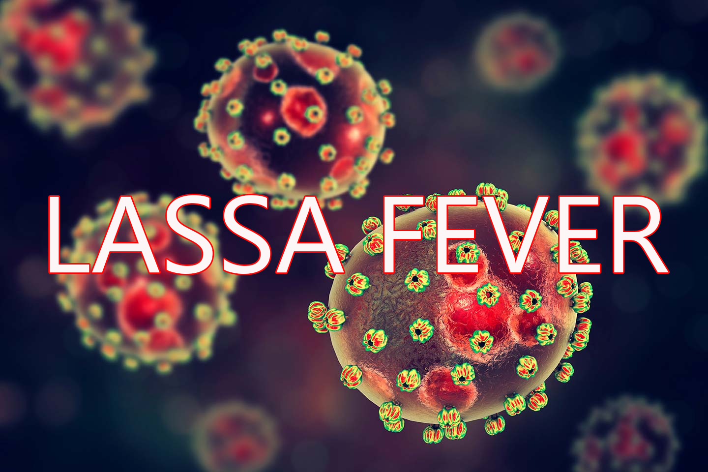 The Oyo State Government has confirmed five cases of Lassa fever, including one fatality, and said that emergency measures have been swiftly activated to contain the outbreak and safeguard public health.
The post One dies as Oyo records five confirmed Lassa f…