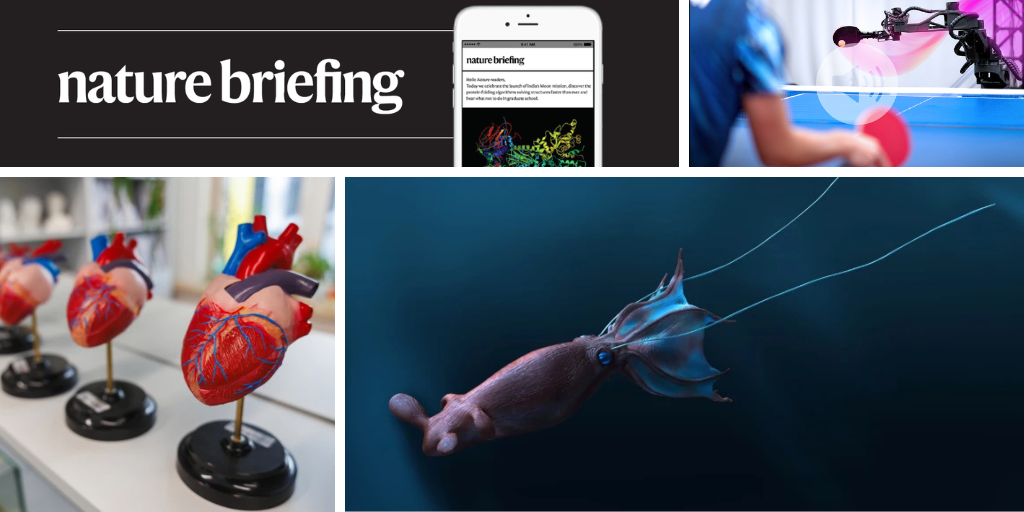 Hearts that didn’t beat were quickly overtaken by cancer cells in mice. Plus, huge octopuses might have ruled the ancient seas and how geopolitics is affecting huge health data sets.