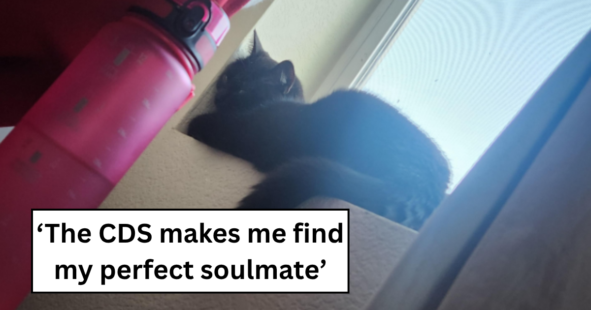 In and out of fosters, from East coast to West coast, this kitty really went through it all. But the cat distribution system has a way of evening the karma score, and gifted a kind woman this kitten.&nbsp;
Believing in fate is not only common, it can be critical …