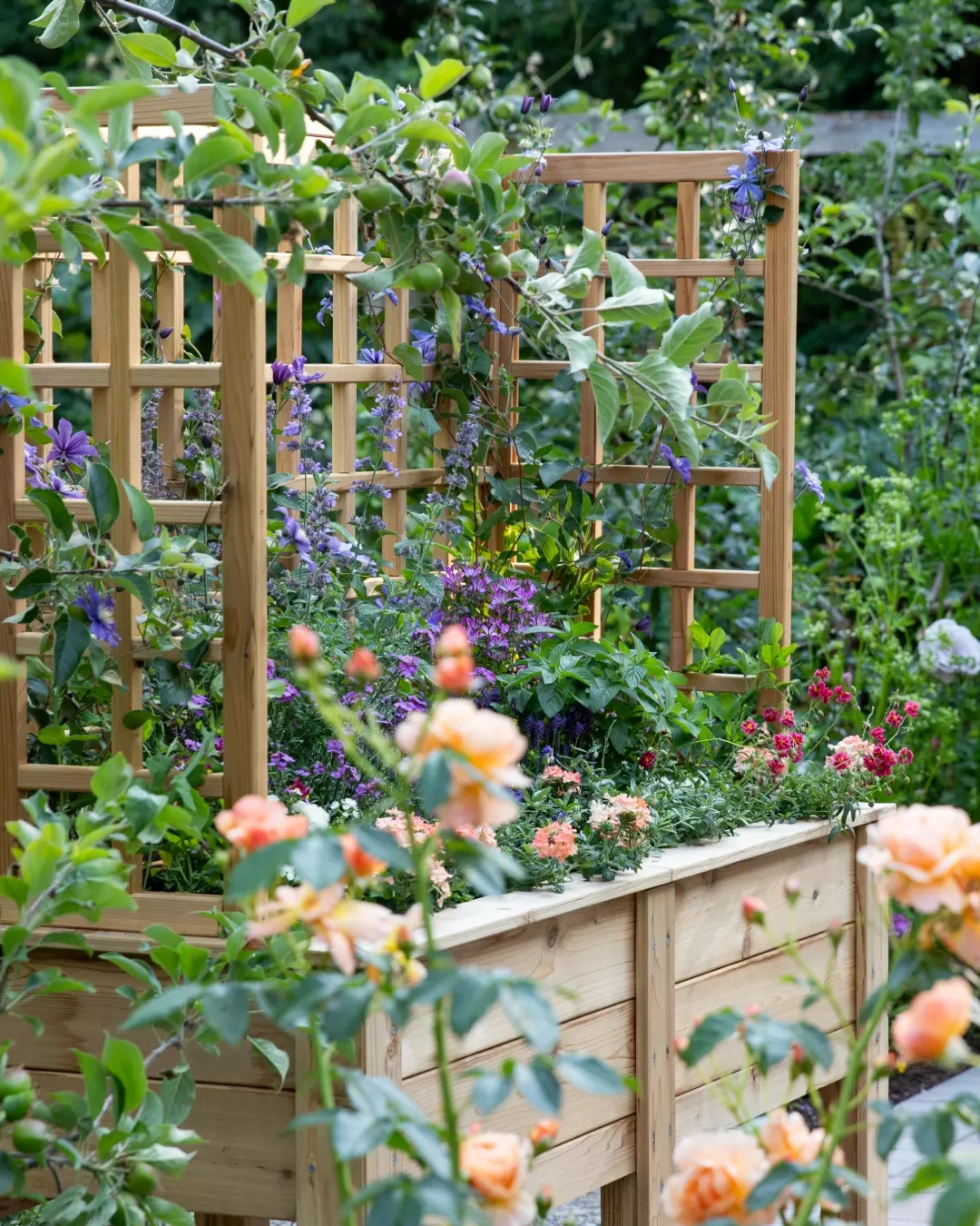 Looking to add a charming touch to your garden this spring? These 21 spring garden trellis ideas are creative, whimsical, and beautifully functional perfect for elevating your outdoor space with structure, style, and lush climbing blooms. 21 Spring Garden Tre…